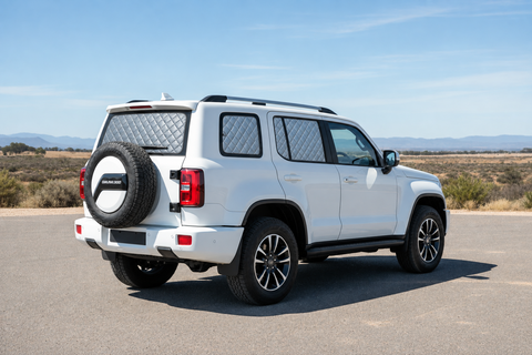 GWM Tank 300 Touring Set silver rear-window screens