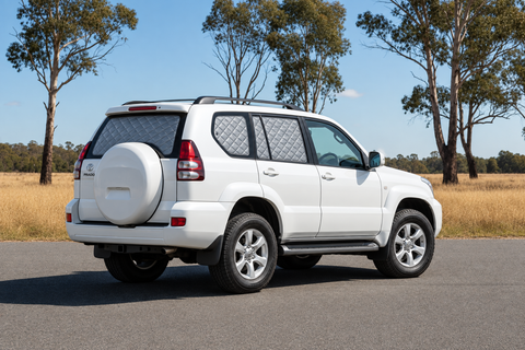 Prado 120 Series with silver Touring screens