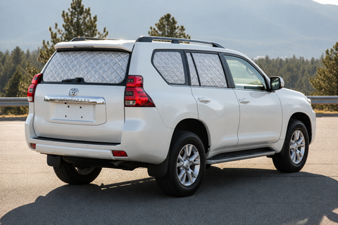 Prado 150 2009–2018 silver Touring Set screens